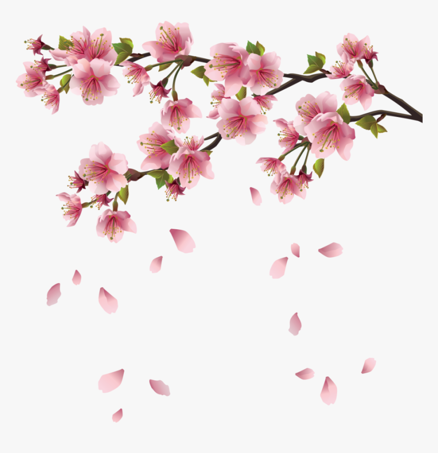 Image Beautiful Pink Spring - Spring Flowers Falling Png, Transparent Png, Free Download