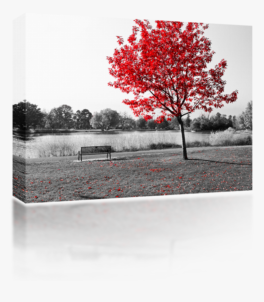 Rojo Arbol, HD Png Download, Free Download