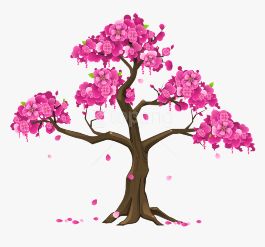 Transparent Cherry Tree Clipart - Cherry Blossom Tree Clipart, HD Png Download, Free Download