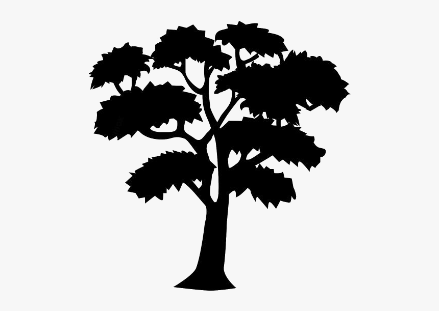 Big Tree Png Clipart Download - Draw A Mahogany Tree, Transparent Png, Free Download
