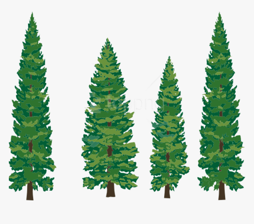 Free Png Download Fir-tree Png Images Background Png - Pine Trees Clipart Png, Transparent Png, Free Download