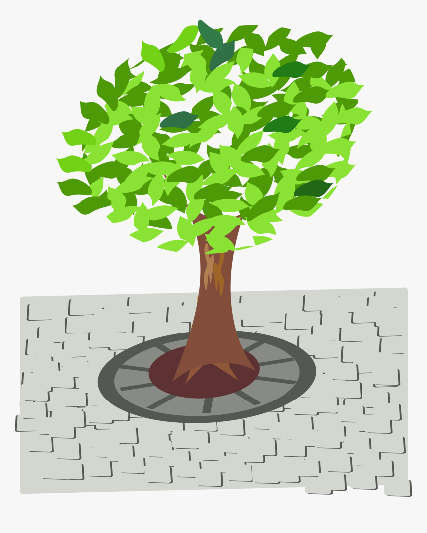 Tree In Street Clipart, HD Png Download, Free Download