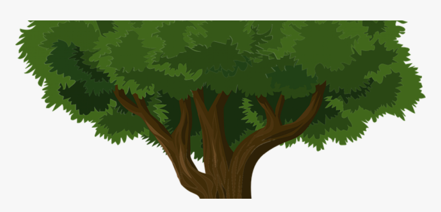 Trees And Packaging - Big Tree, HD Png Download, Free Download