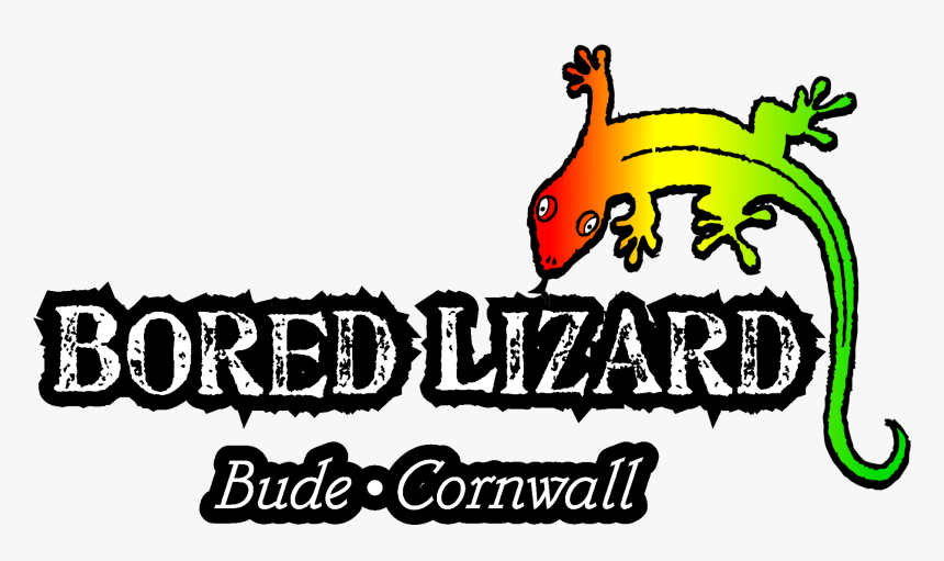 Bored Lizard Surf Shop, Bude, Cornwall, HD Png Download, Free Download