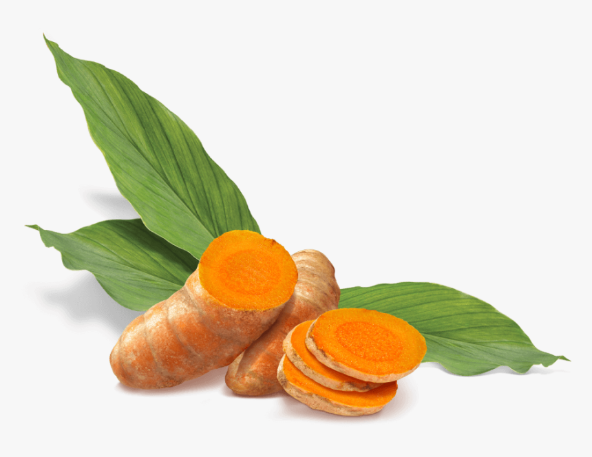 Superfood Turmeric Vector Library Stock - Leaf Turmeric Png, Transparent Png, Free Download