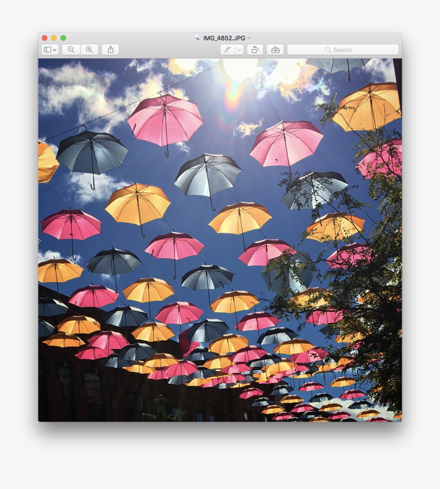 Umbrella, HD Png Download, Free Download