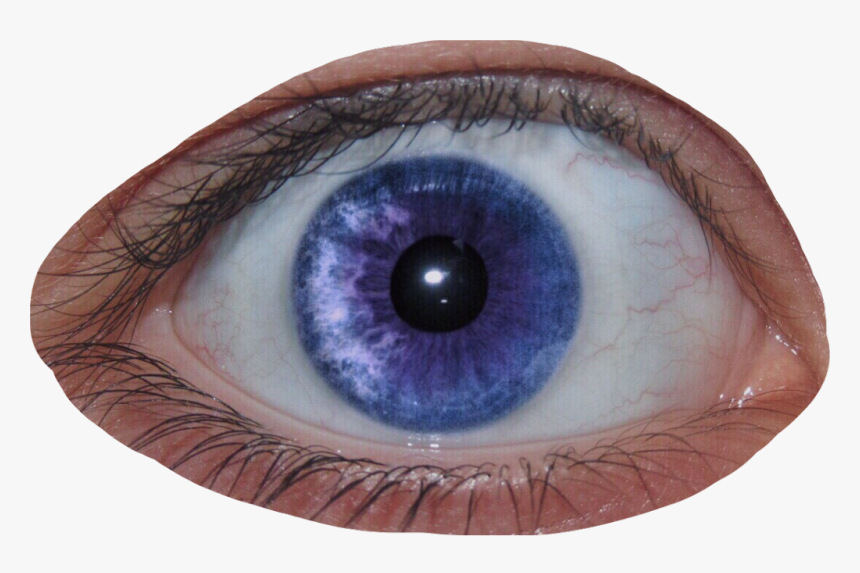 #eye #creepy #cool #purple #eyeball #pupil #look #eyes - Close-up, HD Png Download, Free Download