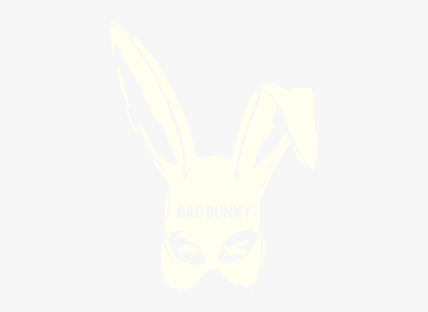 Domestic Rabbit, HD Png Download, Free Download