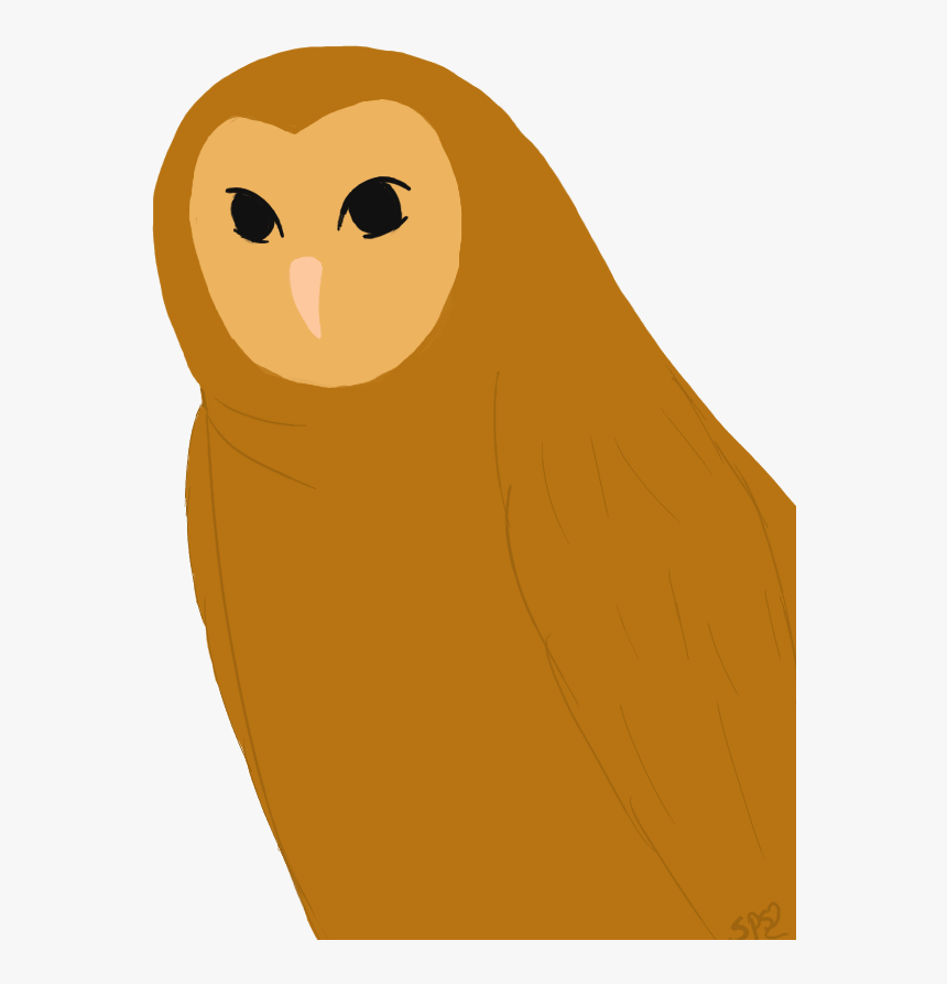 Ovo Owl Png - Barn Owl, Transparent Png, Free Download