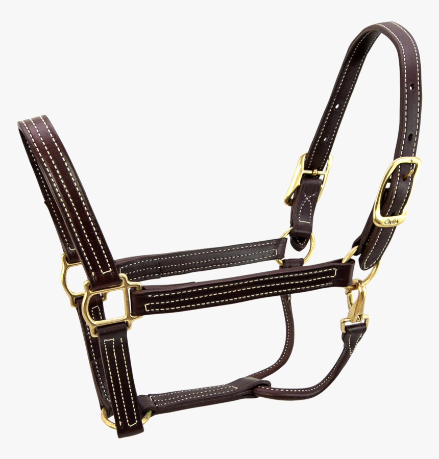 British Halter - - Leather Halters Nz Plain, HD Png Download, Free Download