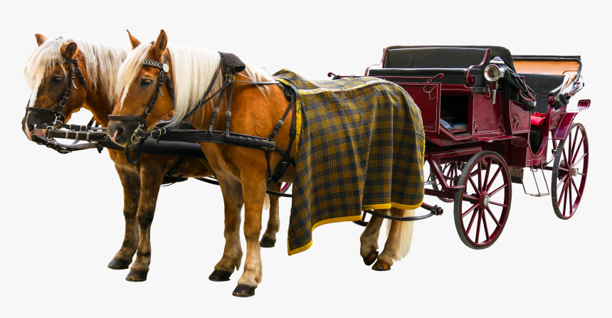 Carriage Png - Horse, Transparent Png, Free Download