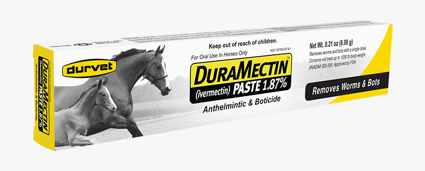 Horse Dewormer Paste, HD Png Download, Free Download