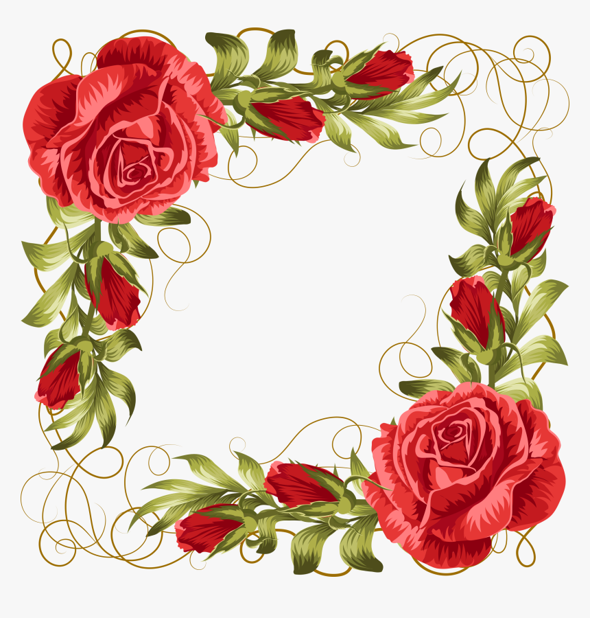 Rose,frame 2480*2480 Transprent Png Free Download - Rose Border Png, Transparent Png, Free Download