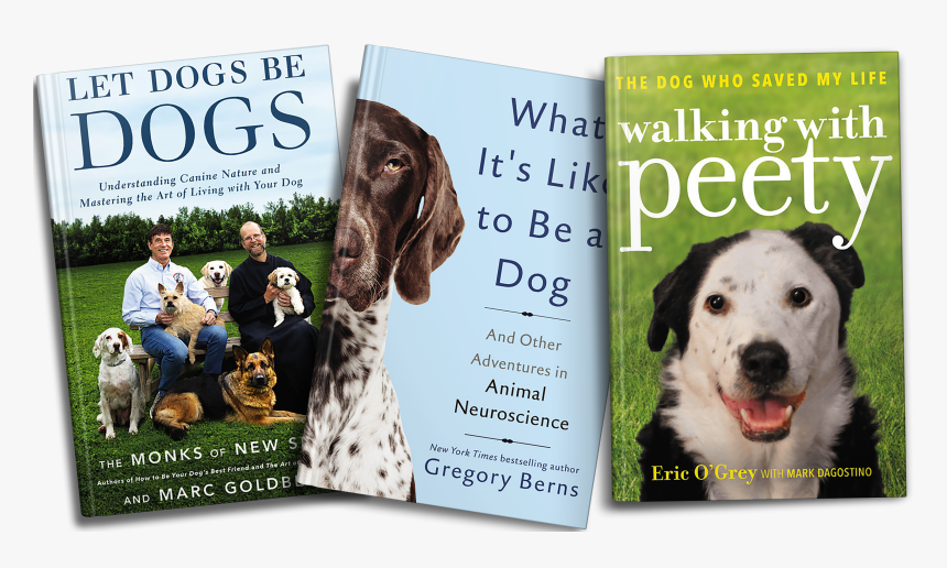 In Post Image For 10 Gifts For The Dog Lover In Your - Walking With Peety Book, HD Png Download, Free Download
