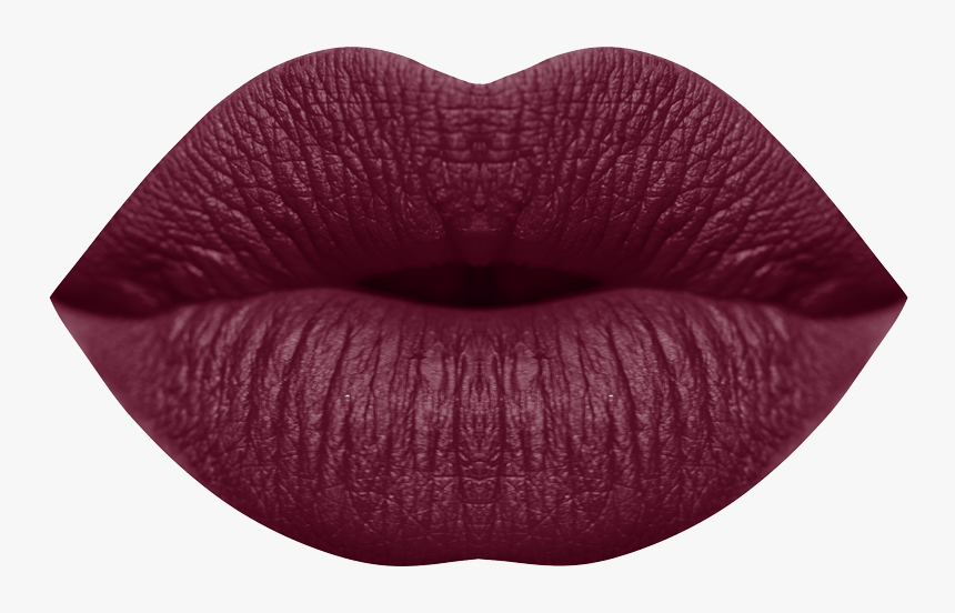 Roxie Lipstick Color - Tints And Shades, HD Png Download, Free Download