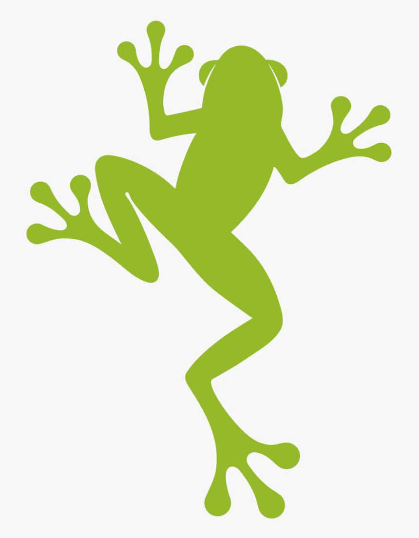 A New Look For Our Frog - Rainforest Alliance New Logo, HD Png Download, Free Download