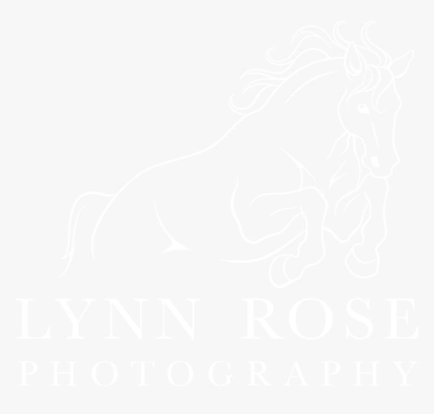 Clip Art Sessions Lynn Rose Photography - Johns Hopkins Logo White, HD Png Download, Free Download