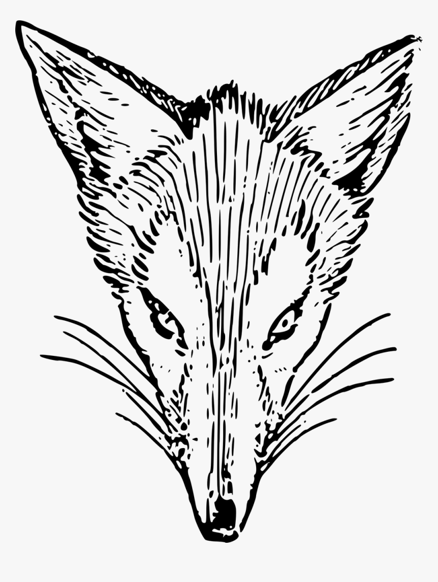 Fox Drawing, HD Png Download, Free Download