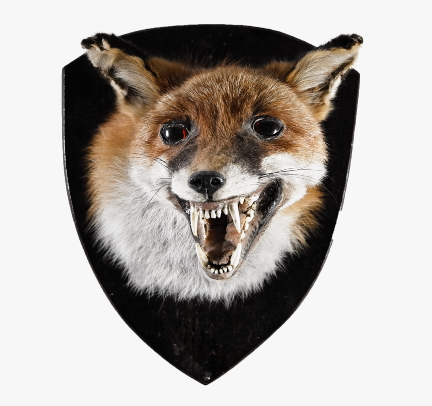 L1002643 - Red Fox, HD Png Download, Free Download