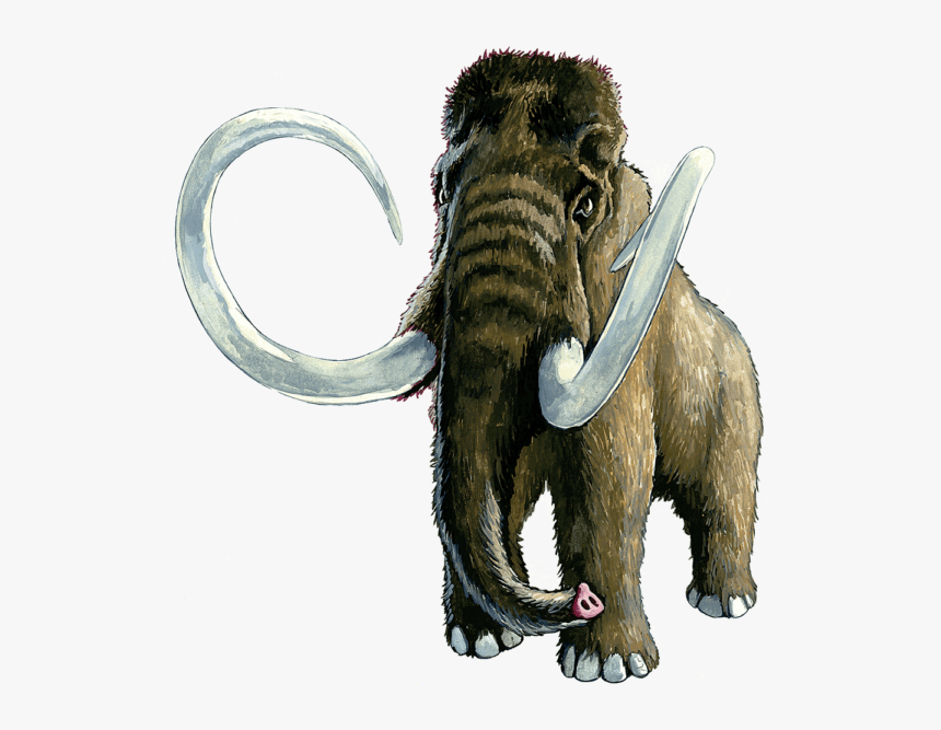 Transparent Mammoth Png - Wooly Mammoth Transparent Background, Png Download, Free Download