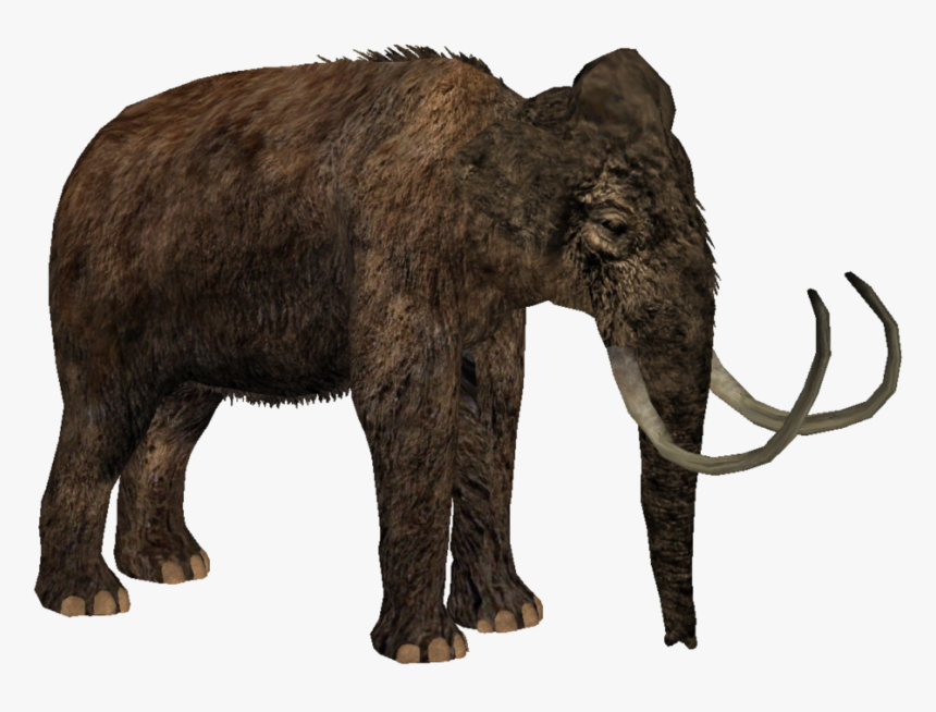 African-elephant - Zoo Tycoon 2 Woolly Mammoth, HD Png Download, Free Download