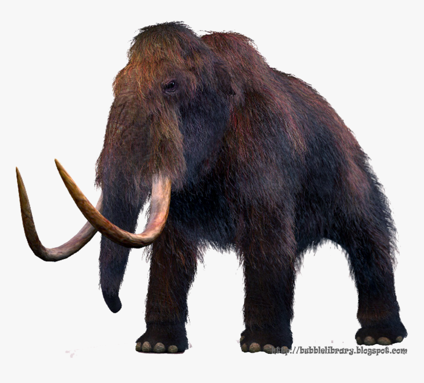 Mammoth Png, Transparent Png, Free Download