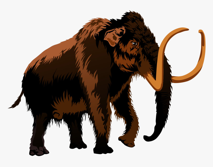 Free To Use &, Public Domain Extinct Animals Clip Art - Mammoth Clipart, HD Png Download, Free Download