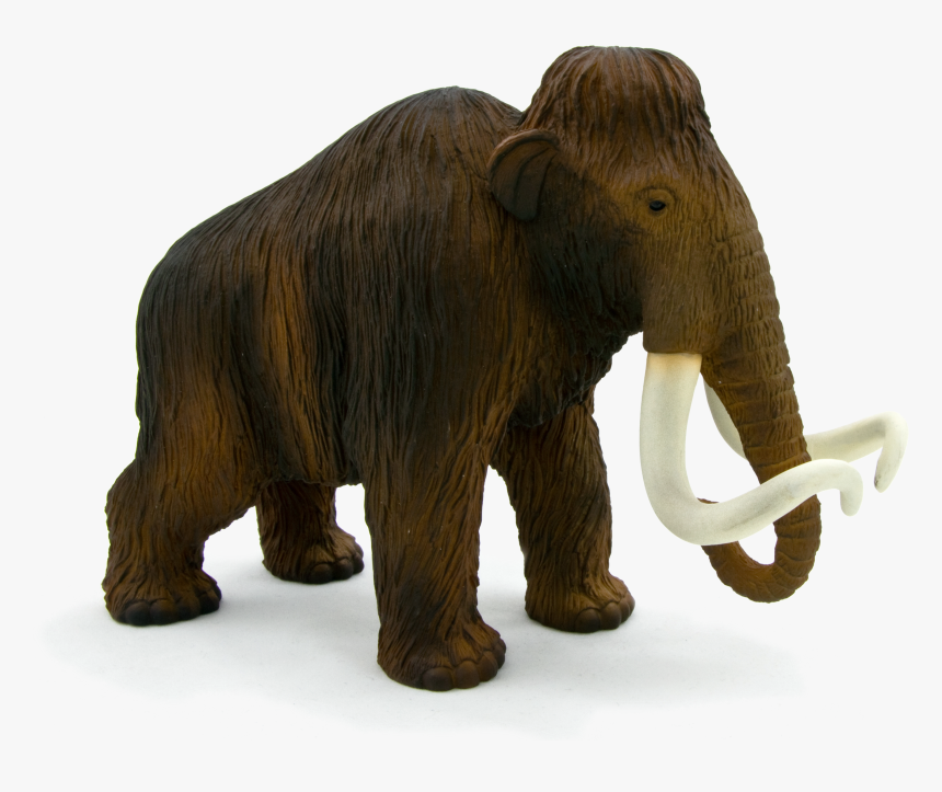 Mojo Fun Woolly Mammoth, HD Png Download, Free Download