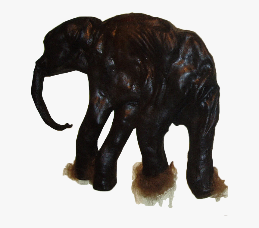 Dima Mammoth, HD Png Download, Free Download