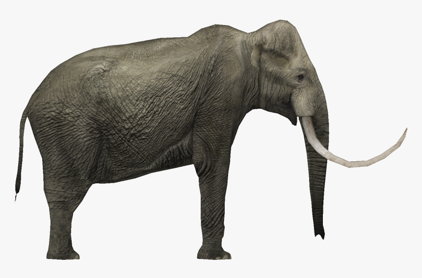 Mammoth Png, Transparent Png, Free Download