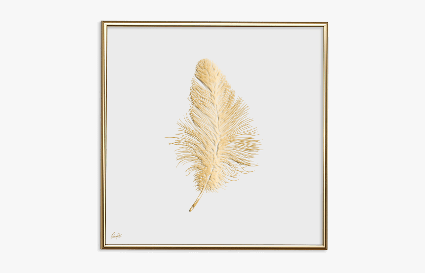 24k Gold Feather Small - Illustration, HD Png Download, Free Download