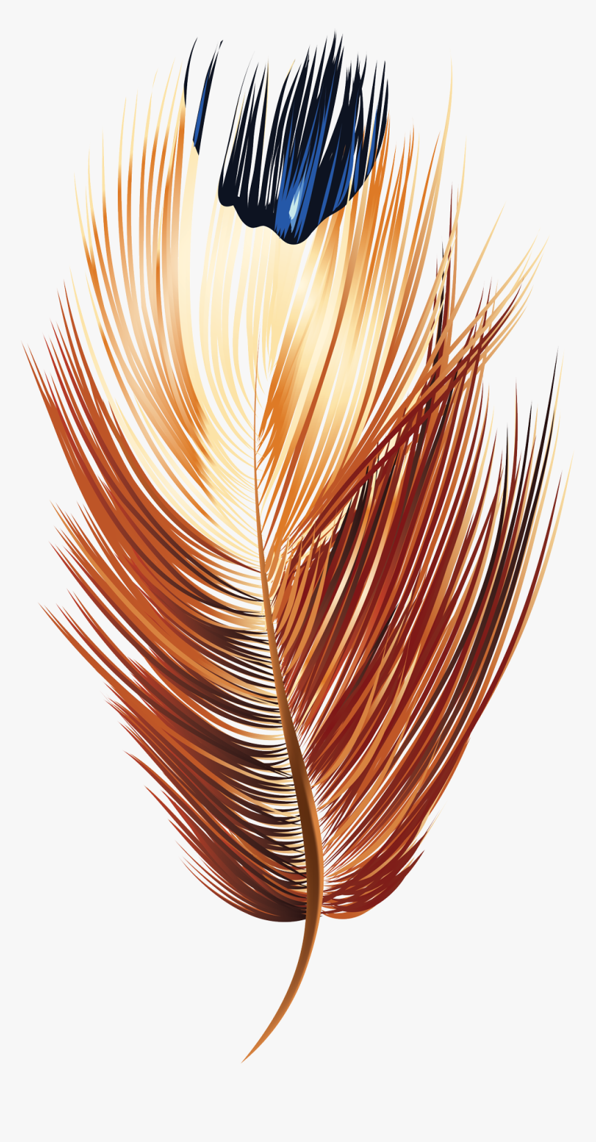 Image - Orange Feather Vector Png, Transparent Png, Free Download