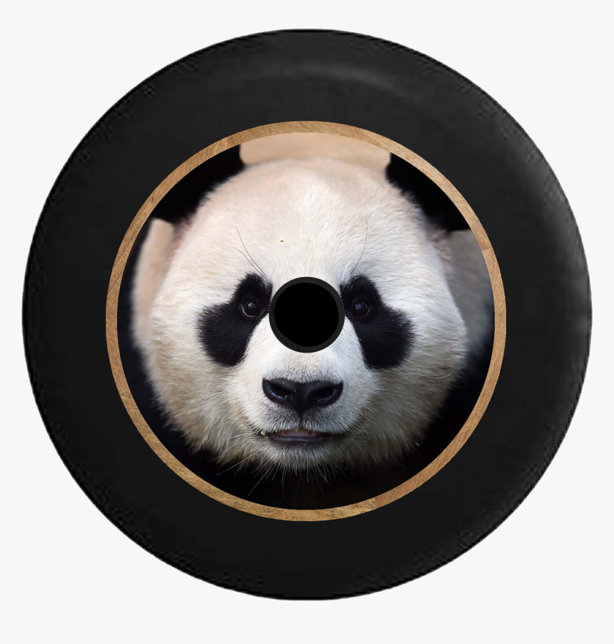 Face Panda, HD Png Download, Free Download