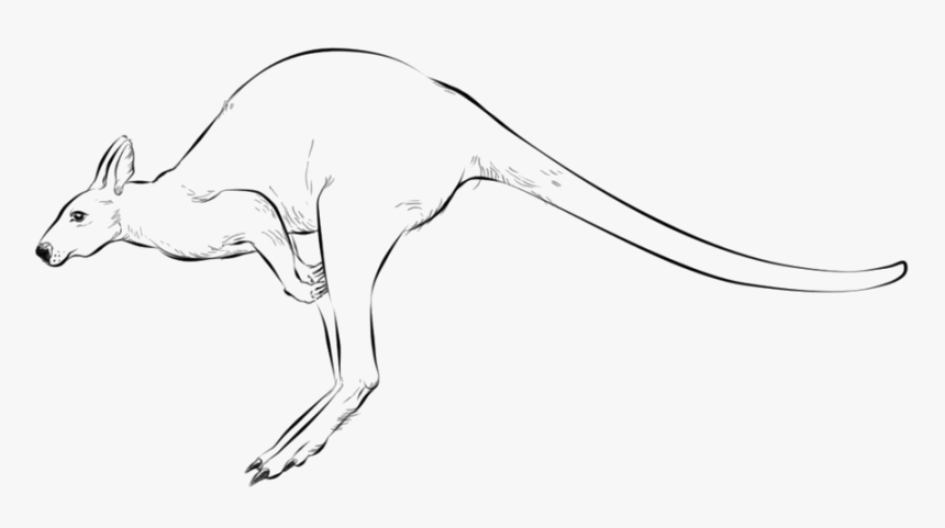 Kangaroo Jumping Free Png Image - Känguru Einfach Zeichnen, Transparent Png, Free Download