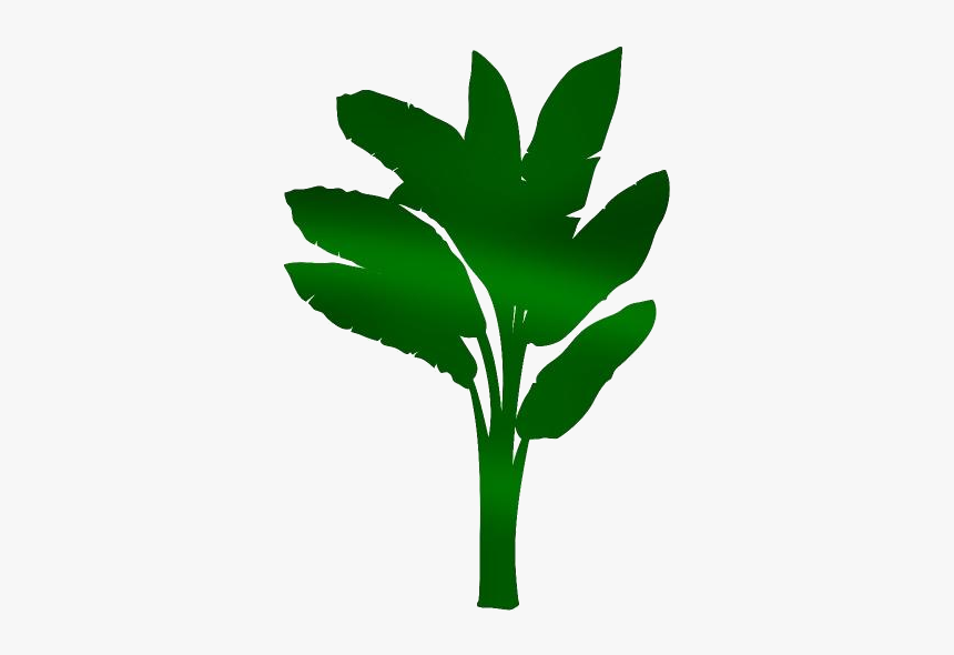 Banana Leaves Png Transparent Images - Banana Tree Images Hd, Png Download, Free Download