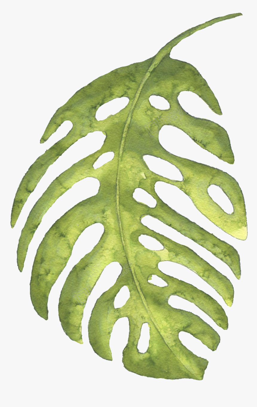 Este Gráficos Es The Green Banana Leaves Large Hand-painted - Leaf Large Png, Transparent Png, Free Download