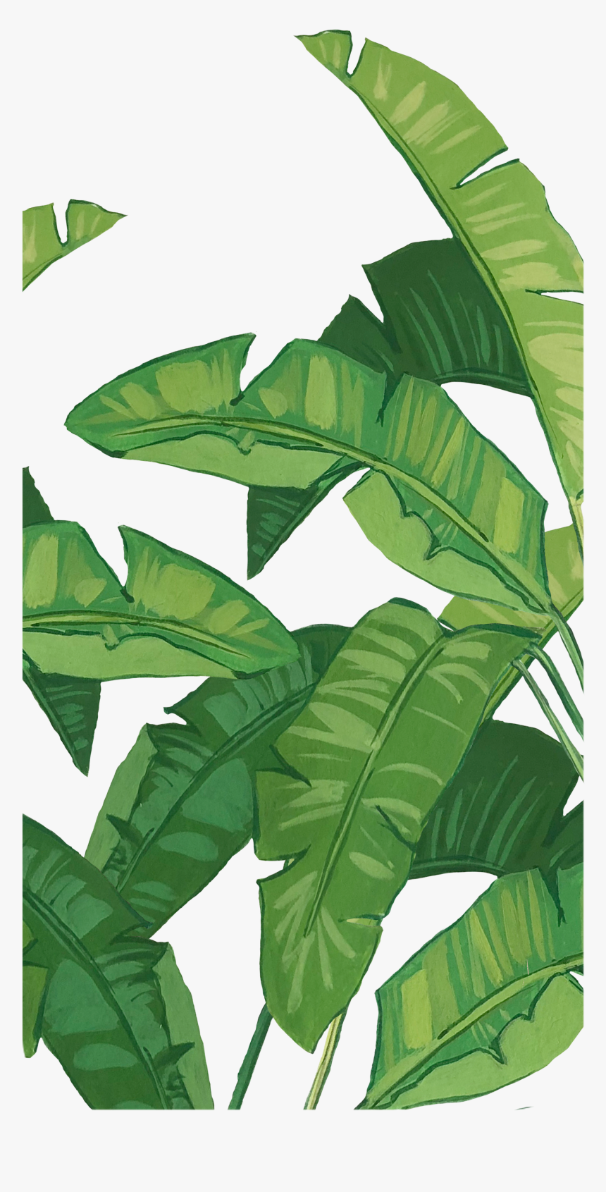 Casetify Banana Leaf, HD Png Download, Free Download