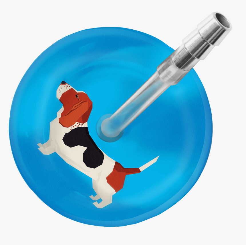 Basset Hound Stethoscope"
 Class= - Stethoscope, HD Png Download, Free Download