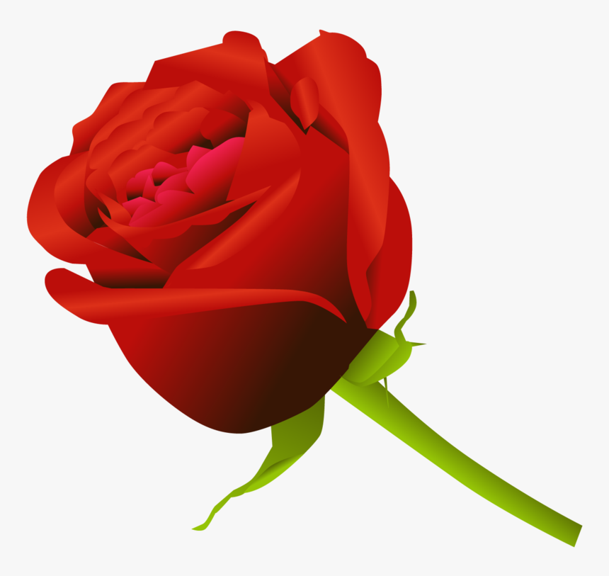 Rose Png - Gulab Ka Phool Png, Transparent Png, Free Download