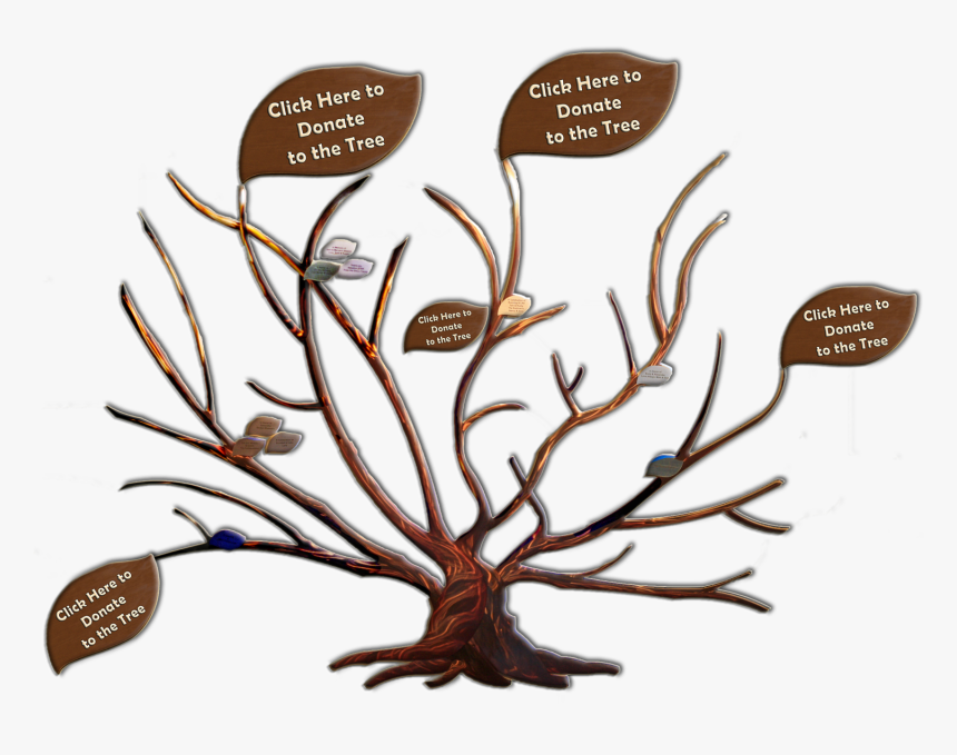 Family Trees ~ A Real Tree For Every New Arrival Adoption - Family Tree Of The Logan Family Roll, HD Png Download, Free Download