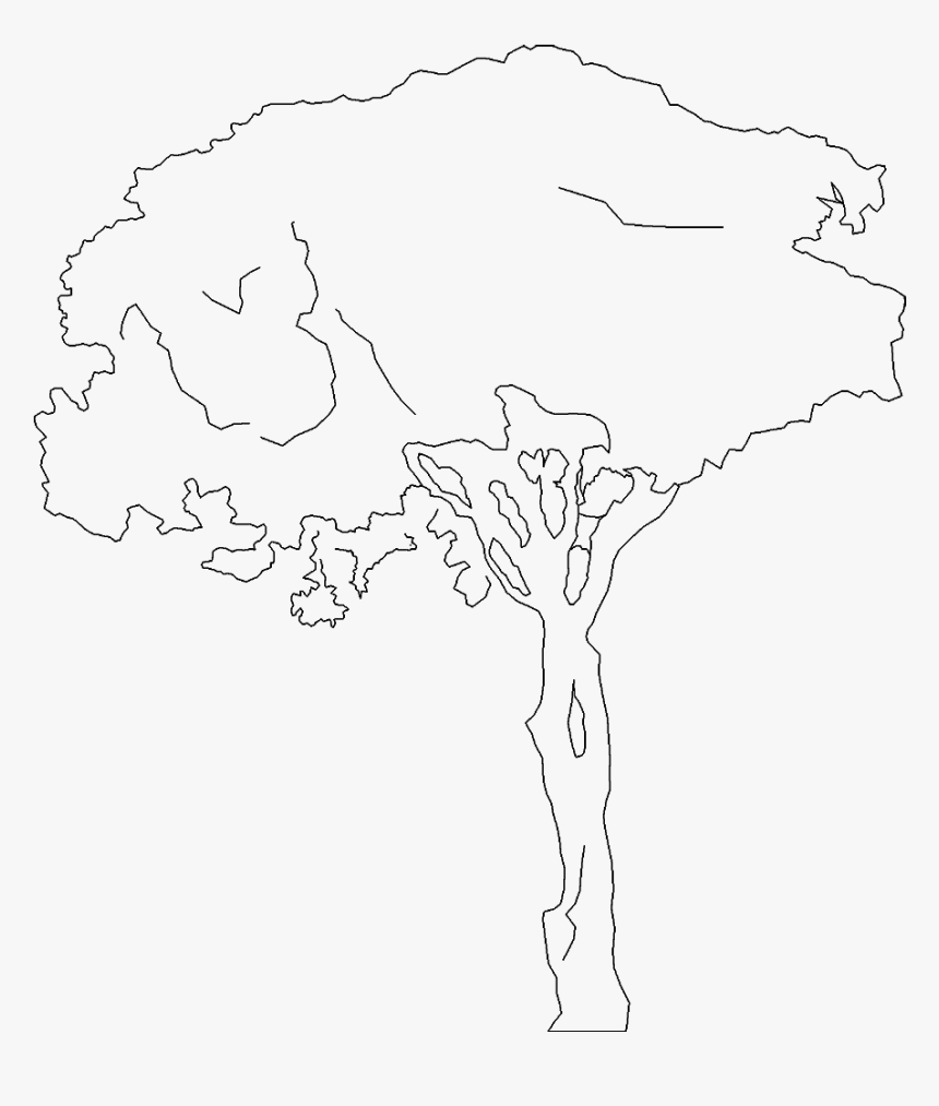Transparent Tree Sketch Png - Sketch, Png Download, Free Download