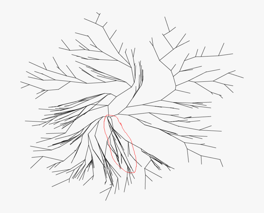 Transparent Tree Sketch Png - Sketch, Png Download, Free Download