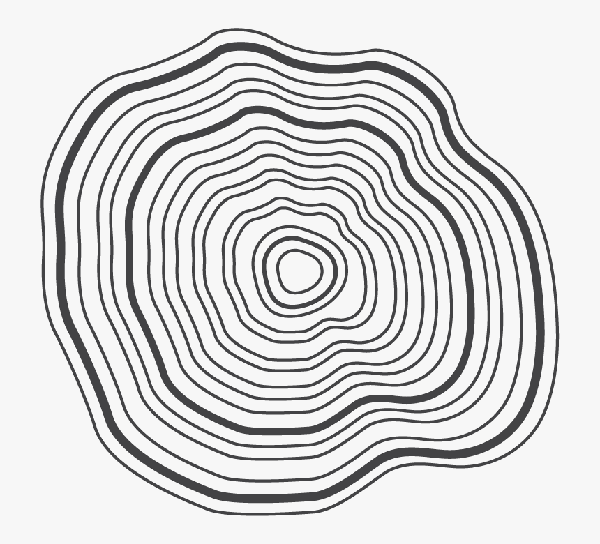 Transparent Tree Rings Png - Circle, Png Download, Free Download