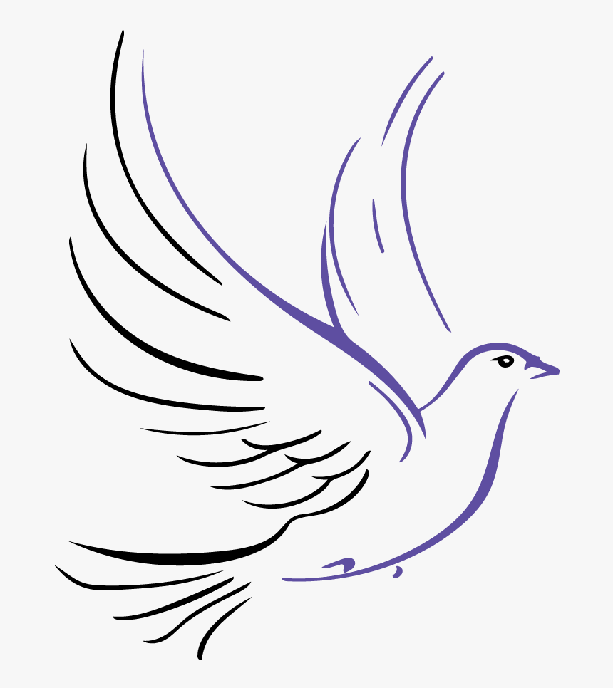 White Dove Symbol, HD Png Download, Free Download