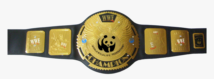 Download Wrestling Belt Transparent Background - All Wwe Championship Belt, HD Png Download, Free Download