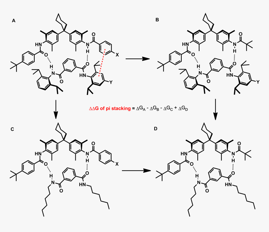 Double Mutant Cycle - Π − Π Stacking, HD Png Download, Free Download