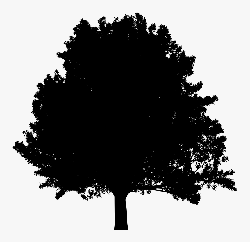 Transparent Treehouse Clipart Black And White - Oak Tree Sillhoette, HD Png Download, Free Download