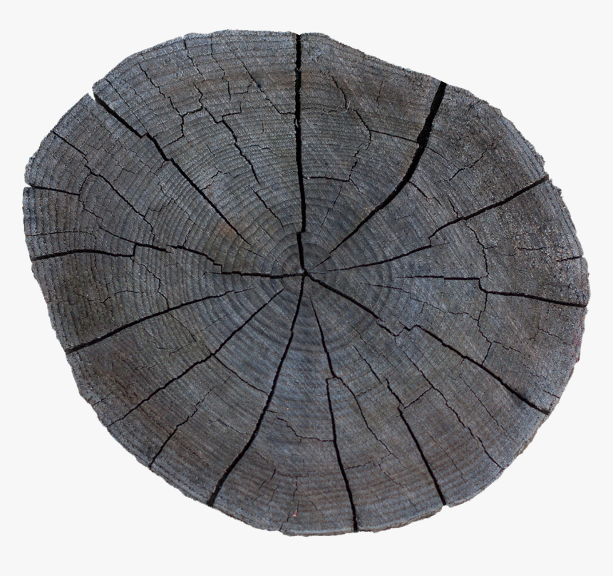 Preview - Tree Stump, HD Png Download, Free Download