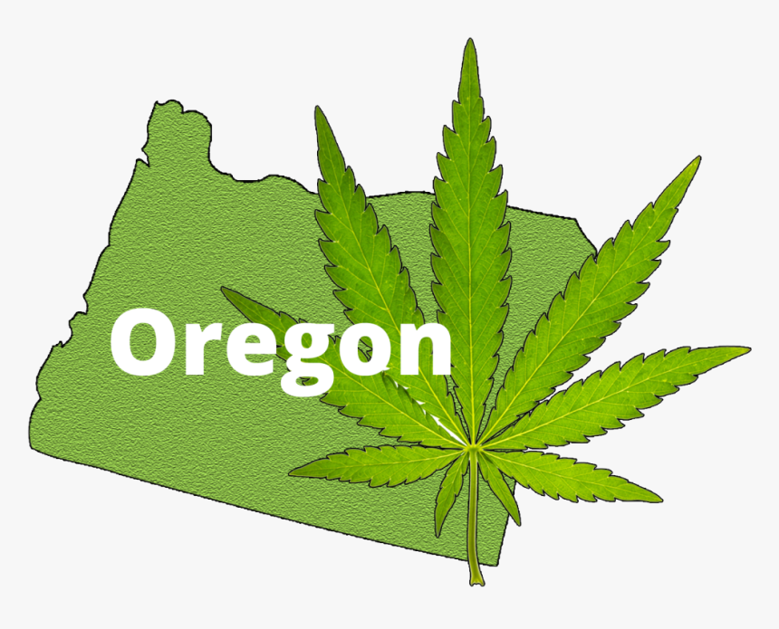 Oregon Marijuana Cannabusiness Plans Pinnacle Consultation - Oregon Marijuana, HD Png Download, Free Download