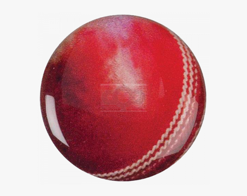 Cricket, HD Png Download, Free Download